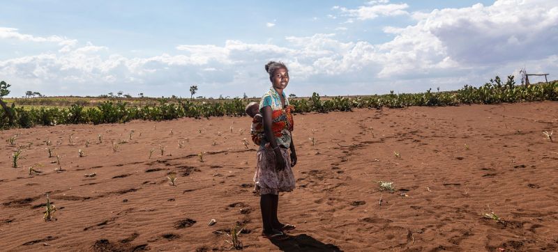 UNICEF is assisting farmers in the recovery of their crops in drought-stricken Madagascar-5135bcc9169a3e139efac195601932791623742587.jpg